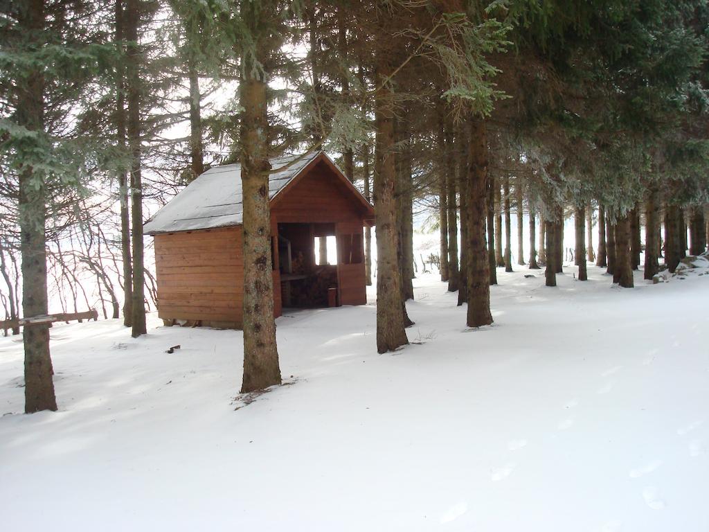 Guest House Sumski Dvor Vrhovine Eksteriør billede